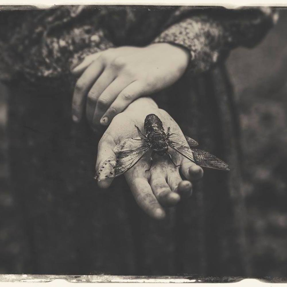 Meet your Posher, Marcus